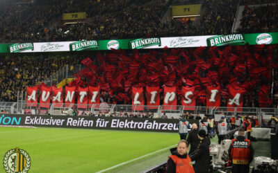 BORUSSIA DORTMUND – AUSWÄRTS 24/25